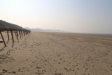 충남 태안 솔향기 5코스 - 국내여행관광산행 - 행복 삶터 충남 태안 솔향기 5코스