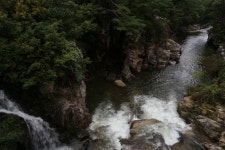 강원 동해 무릉계곡 - 국내여행관광산행 - 행복 삶터 강원 동해 무릉계곡