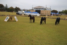 충남 서산 해미읍성 축제 - 국내여행관광산행 - 행복 삶터 충남 서산 해미읍성 축제