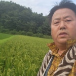 유래농원 - 과수원&벼농사 일지 - 유래농원 유래농원