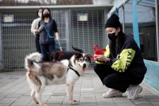 팅커벨 중대형견(리버하우스) 아이들 정기 산책 봉사 신청 받습니다 ~ - ▶ 진행중인 주요행사방 - 팅커벨 프로젝트 팅커벨 중대형견(리버하우스)... 