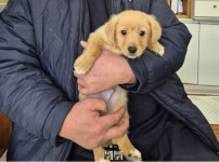 1월 25일(토) 오늘은 입양센터 아이들 서서울 호수공원 산책봉사 날입니다. - ▶ 진행중인 주요행사방 - 팅커벨 프로젝트 1월 25일(토) 오늘은... 