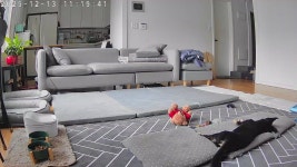 하늬의 병원진료~~ with. 코카 - ▶ 입양 일기방 - 팅커벨 프로젝트 하늬의 병원진료~~ with. 코카