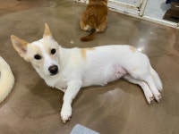 8/2 토요일 첫 봉사 후기🫶 - ▶ 봉사 후기 - 팅커벨 프로젝트 8/2 토요일 첫 봉사 후기🫶