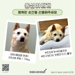 한이불 쓰는 건 좀 애매하긴 해 - ▶ 브링미홈 소식/일기 - 팅커벨 프로젝트 한이불 쓰는 건 좀 애매하긴 해
