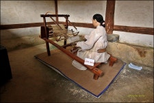 충남 서천군의 한산세모시 /작성 중 - ─‥‥세상사는 이야기 - 월간 국보문학/ 주간 한국문학신문 충남 서천군의 한산세모시 /작성 중