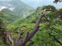 충북 제천 월악산 산행(신륵사에서 덕주사까지) - 정기 산행 사진 - 광주 청록 산악회 충북 제천 월악산 산행(신륵사에서 덕주사까지)