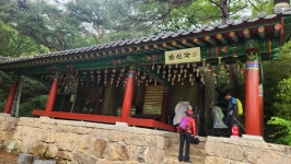 충북 제천 월악산 산행(신륵사-영봉-덕주사)2 2026.7.8 - 정기 산행 사진 - 광주 청록 산악회 충북 제천 월악산 산행(신륵사-영봉-덕주사)2... 
