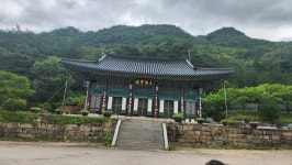 충북 제천 월악산 산행(신륵사-영봉-덕주사)2 2026.7.8 - 정기 산행 사진 - 광주 청록 산악회 충북 제천 월악산 산행(신륵사-영봉-덕주사)2... 