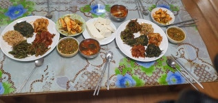 풀꿈 지역특화 - 대소면 오산3리 20250902 - 숲과 환경 - (사)환경실천연합회 충북본부 풀꿈 지역특화 - 대소면 오산3리 20250902