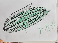 손끝에서 피어나는 옥수수🌽 - 여가활동 서비스 - 수원연세실버벨리 손끝에서 피어나는 옥수수🌽