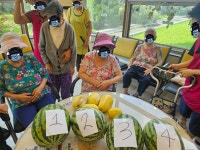 🍉함께한 여름의 맛, 🍐수박과 참외 수확 이야기😍 - 여가활동 서비스 - 수원연세실버벨리 🍉함께한 여름의 맛, 🍐수박과 참외 수확 이야기😍