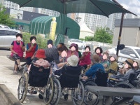 🍦 따뜻한 햇살 아래, 어르신들과 함께한 행복한 산책 시간 🌿📸 - 여가활동 서비스 - 수원연세실버벨리 🍦 따뜻한 햇살 아래, 어르신들과... 