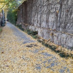 ▶My Way ♡ 에움길 - 신규가입인사 - 다정한 사람들의 공간 다정한 사람들의 공간