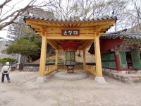 선운산 2025,3,29 토 - 일반 게시판 - 수안보법수골 선운산 2025,3,29 토