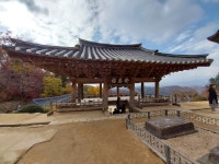 1 협곡열차 영주부석사 (2024,11.16 토) - 일반 게시판 - 수안보법수골 1 협곡열차 영주부석사 (2024,11.16 토)