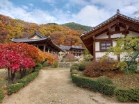 1 협곡열차 영주부석사 (2024,11.16 토) - 일반 게시판 - 수안보법수골 1 협곡열차 영주부석사 (2024,11.16 토)