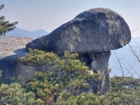 도봉산 2026.1.4 (일) - 일반 게시판 - 수안보법수골 도봉산 2026.1.4 (일)