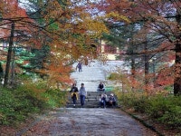 1 협곡열차 영주부석사 (2024,11.16 토) - 일반 게시판 - 수안보법수골 1 협곡열차 영주부석사 (2024,11.16 토)