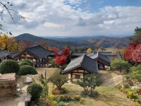 1 협곡열차 영주부석사 (2024,11.16 토) - 일반 게시판 - 수안보법수골 1 협곡열차 영주부석사 (2024,11.16 토)