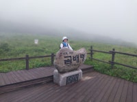 곰배령 2025.6.28 토 - 일반 게시판 - 수안보법수골 곰배령 2025.6.28 토