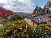 1 협곡열차 영주부석사 (2024,11.16 토) - 일반 게시판 - 수안보법수골 1 협곡열차 영주부석사 (2024,11.16 토)