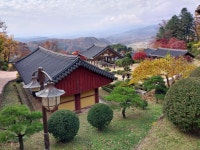 1 협곡열차 영주부석사 (2024,11.16 토) - 일반 게시판 - 수안보법수골 1 협곡열차 영주부석사 (2024,11.16 토)