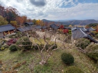 1 협곡열차 영주부석사 (2024,11.16 토) - 일반 게시판 - 수안보법수골 1 협곡열차 영주부석사 (2024,11.16 토)