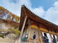 1 협곡열차 영주부석사 (2024,11.16 토) - 일반 게시판 - 수안보법수골 1 협곡열차 영주부석사 (2024,11.16 토)