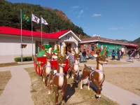 2 협곡열차 봉화 산타마을 (2024.11.16 토) - 일반 게시판 - 수안보법수골 2 협곡열차 봉화 산타마을 (2024.11.16 토)