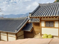 1 협곡열차 영주부석사 (2024,11.16 토) - 일반 게시판 - 수안보법수골 1 협곡열차 영주부석사 (2024,11.16 토)