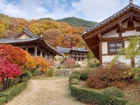 1 협곡열차 영주부석사 (2024,11.16 토) - 일반 게시판 - 수안보법수골 1 협곡열차 영주부석사 (2024,11.16 토)