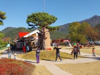 2 협곡열차 봉화 산타마을 (2024.11.16 토) - 일반 게시판 - 수안보법수골 2 협곡열차 봉화 산타마을 (2024.11.16 토)