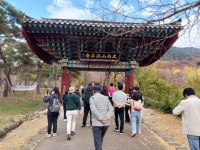 1 협곡열차 영주부석사 (2024,11.16 토) - 일반 게시판 - 수안보법수골 1 협곡열차 영주부석사 (2024,11.16 토)