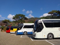 1 협곡열차 영주부석사 (2024,11.16 토) - 일반 게시판 - 수안보법수골 1 협곡열차 영주부석사 (2024,11.16 토)