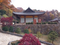 1 협곡열차 영주부석사 (2024,11.16 토) - 일반 게시판 - 수안보법수골 1 협곡열차 영주부석사 (2024,11.16 토)