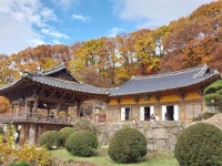 1 협곡열차 영주부석사 (2024,11.16 토) - 일반 게시판 - 수안보법수골 1 협곡열차 영주부석사 (2024,11.16 토)