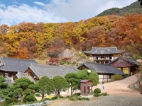 1 협곡열차 영주부석사 (2024,11.16 토) - 일반 게시판 - 수안보법수골 1 협곡열차 영주부석사 (2024,11.16 토)