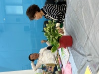 디테일하게 바라본다 - 매주수요일10시~13시까지 수채화작업즐기다 - 수채화,기초연필,수채화드로잉 수요동호회^^와WA 디테일하게 바라본다