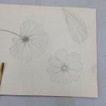 청담성당 정밀묘사 - 우리들의 이야기 - 수채화,기초연필,수채화드로잉 수요동호회^^와WA 청담성당 정밀묘사
