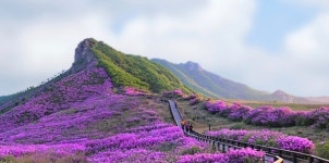 산청 황매산 은하수암장 ★★ - 경상남도 Sc - 오늘의 등반, 모두의 등반 산청 황매산 은하수암장 ★★