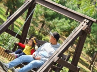 10월26일 - 10월26일 숲 참여수업 - 장안동하늘채어린이집 10월26일