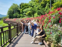 2025년도 인절미 워크샵 - 단양여행 - - 지회봉사단(인절美) - 한국공인중개사협회 용인시 처인구지회 2025년도 인절미 워크샵 - 단양여행