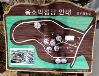 봄의 전령사 이천 산수유 마을과 원주 신림 용소막 성당을 가다 - 평론, 구석구석 가보기 - 청일문학,문인협회 봄의 전령사 이천 산수유 마을과... 