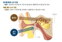 마이크로파 청각 통신 V2K(voice to skull, 머릿속의 음성, 음성 - 두개골) - 자료 게시판 - mind control TI 마이크로파 청각 통신 V2K... 