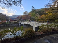 ■공주 태화산 마곡사■ - 자유게시판 - 국제포교사회 International Dharma Instructors Association 국제포교사회... 