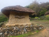 25/10/16/목욜[경북]칠곡군,한티가는길4~구간.. - ●한티가는길PHOTO - 부산해송산악회(BHT) 25/10/16/목욜[경북]칠곡군,한티가는길4~구간..