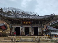 팔공산둘레길6 - ●팔공산둘레길(한티등) - 부산해송산악회(BHT) 팔공산둘레길6