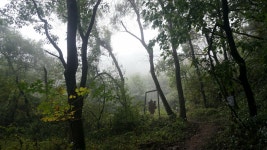 한티가는길 4-5구간 사진기-4 - ●팔공산둘레길(한티등) - 부산해송산악회(BHT) 한티가는길 4-5구간 사진기-4