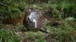 한티가는길 3-4구간 사진기-2 - ●팔공산둘레길(한티등) - 부산해송산악회(BHT) 한티가는길 3-4구간 사진기-2